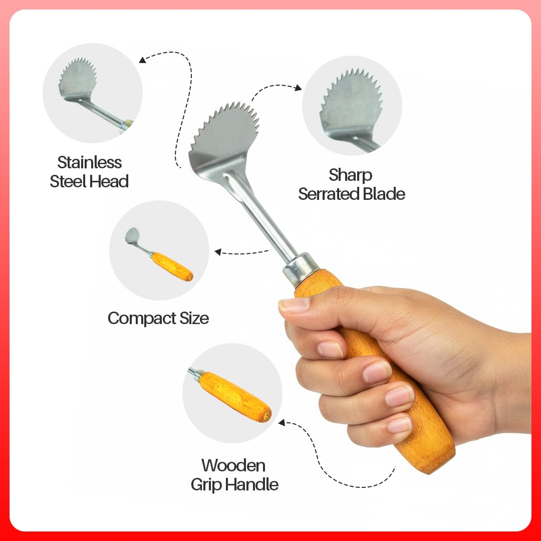 Coconut Hand Scraper Stainless Steel with Tamarind Wood Handle | Matte Finish Kitchen and Coconut Cleaning Scraper | Heavy Duty Multipurpose Hand Scraper