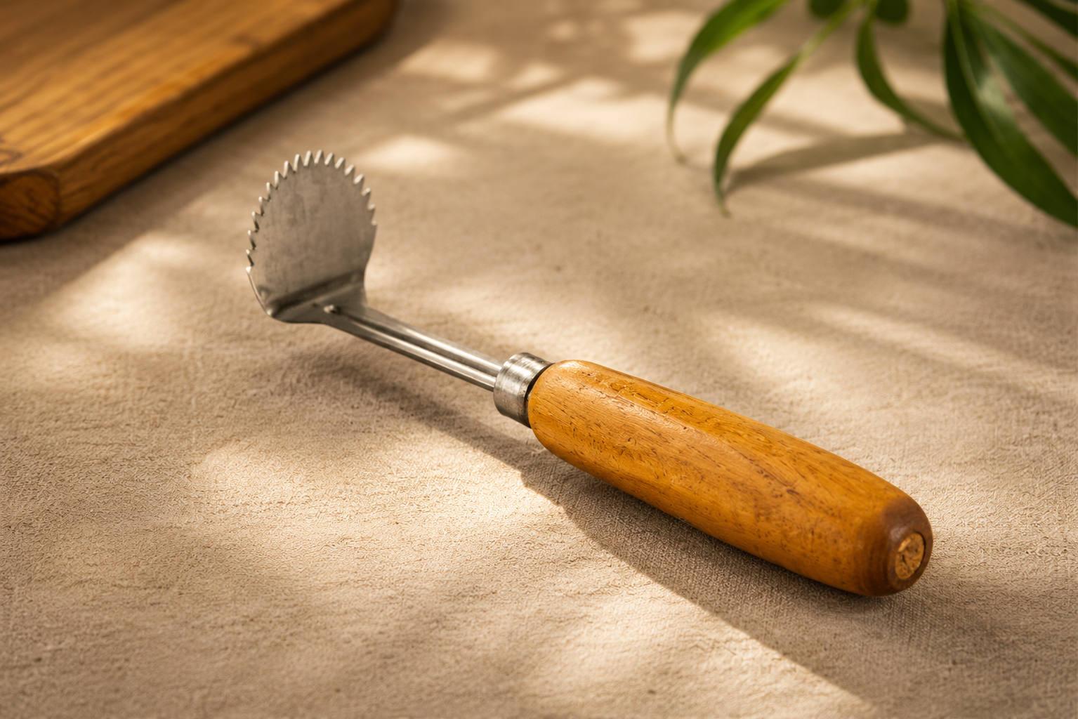 Coconut Hand Scraper Stainless Steel with Tamarind Wood Handle | Matte Finish Kitchen and Coconut Cleaning Scraper | Heavy Duty Multipurpose Hand Scraper
